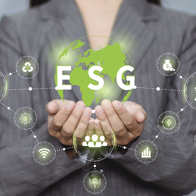The 10 reasons to apply ESG strategies in companies!