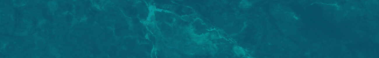 Find the nearest IASE from you!