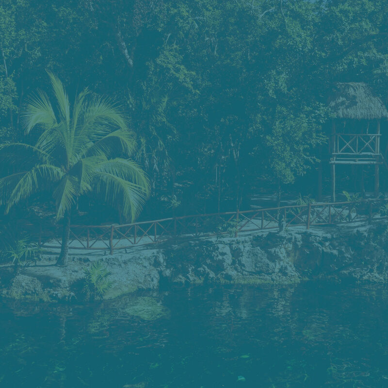 The importance of ESG